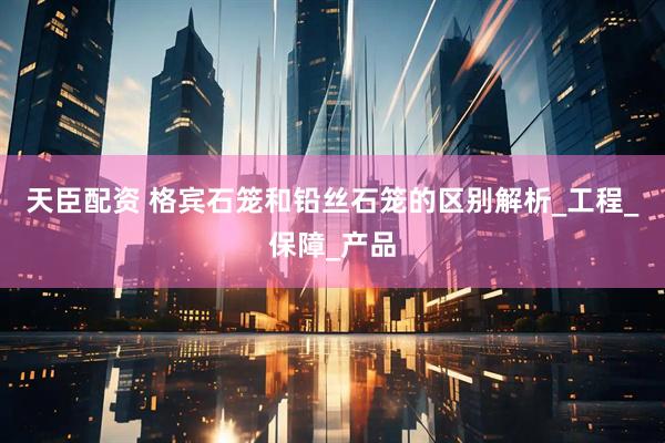 天臣配资 格宾石笼和铅丝石笼的区别解析_工程_保障_产品