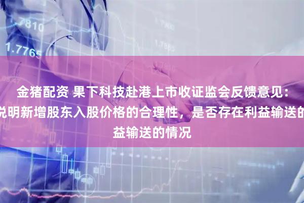 金猪配资 果下科技赴港上市收证监会反馈意见:补充说明新增股东入股价格的合理性,是否存在利益输送的情况