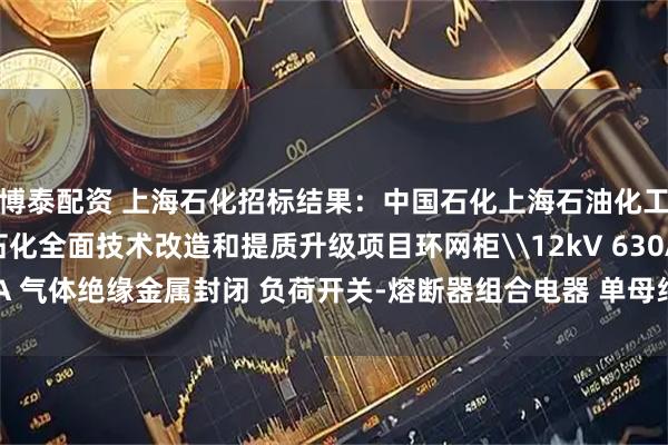 博泰配资 上海石化招标结果：中国石化上海石油化工股份有限公司上海石化全面技术改造和提质升级项目环网柜\12kV 630A 20kA 气体绝缘金属封闭 负荷开关-熔断器组合电器 单母线 馈出回路评标结果公示