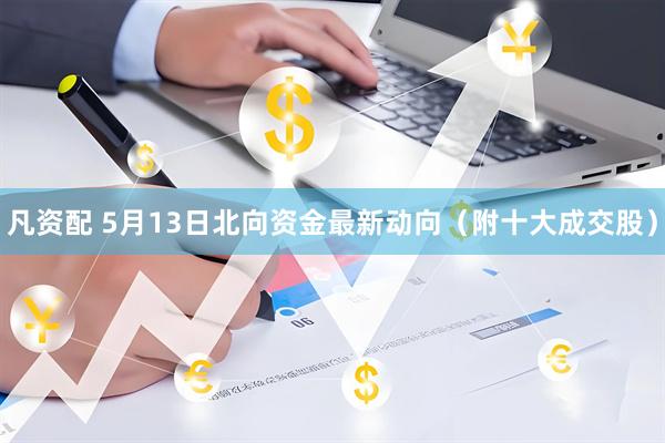 凡资配 5月13日北向资金最新动向（附十大成交股）